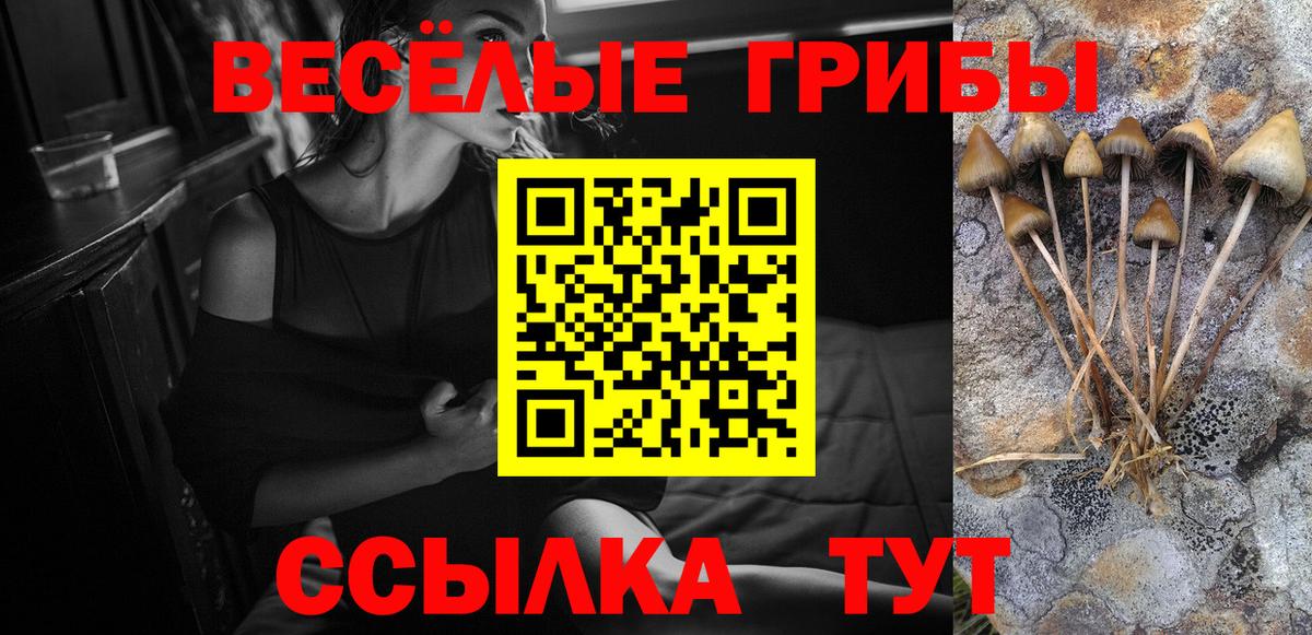 Кыштым  Псилоцибиновые грибы ЛСД  Вход с VPN 