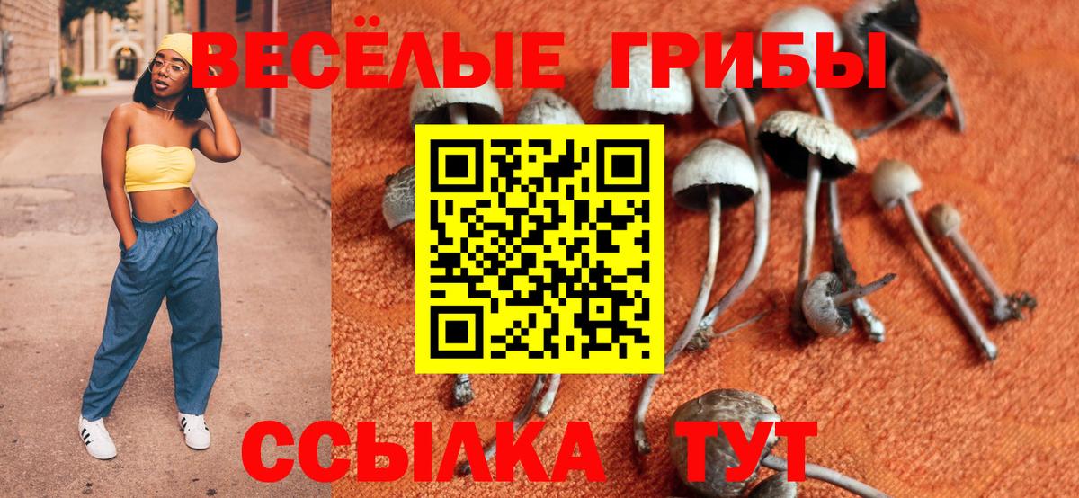 Псилоцибиновые грибы мицелий Кыштым